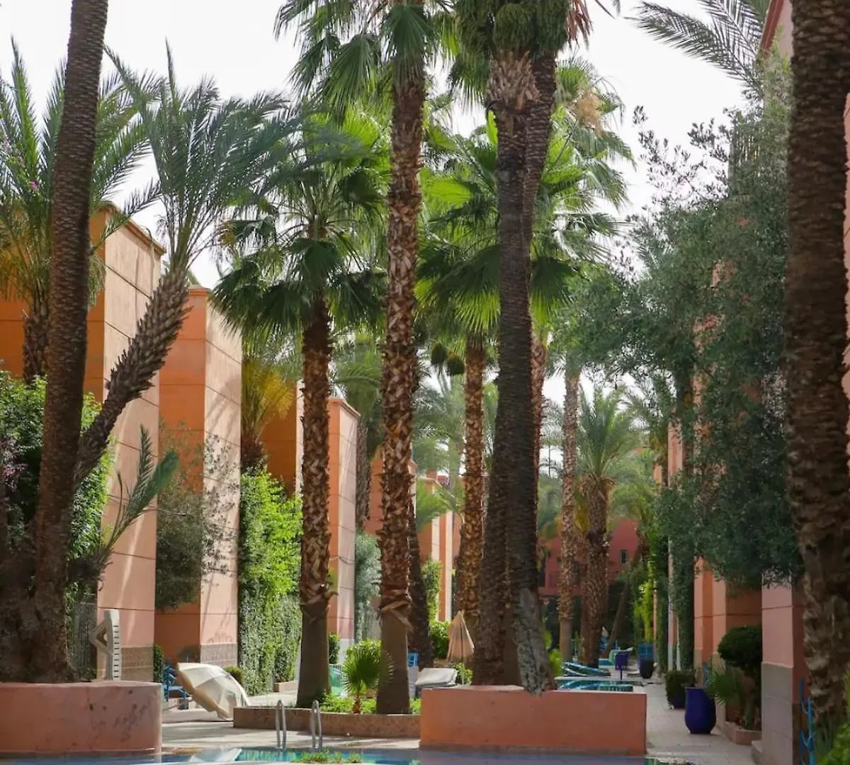 شقة Golden Palm 2 مراكش 0*,
